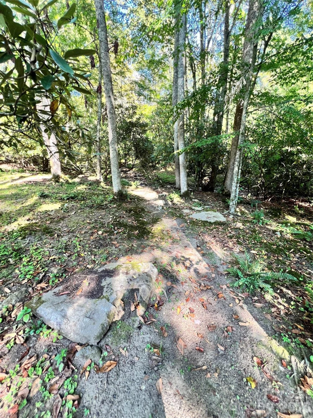 00 Battle Branch Road - Photo 5