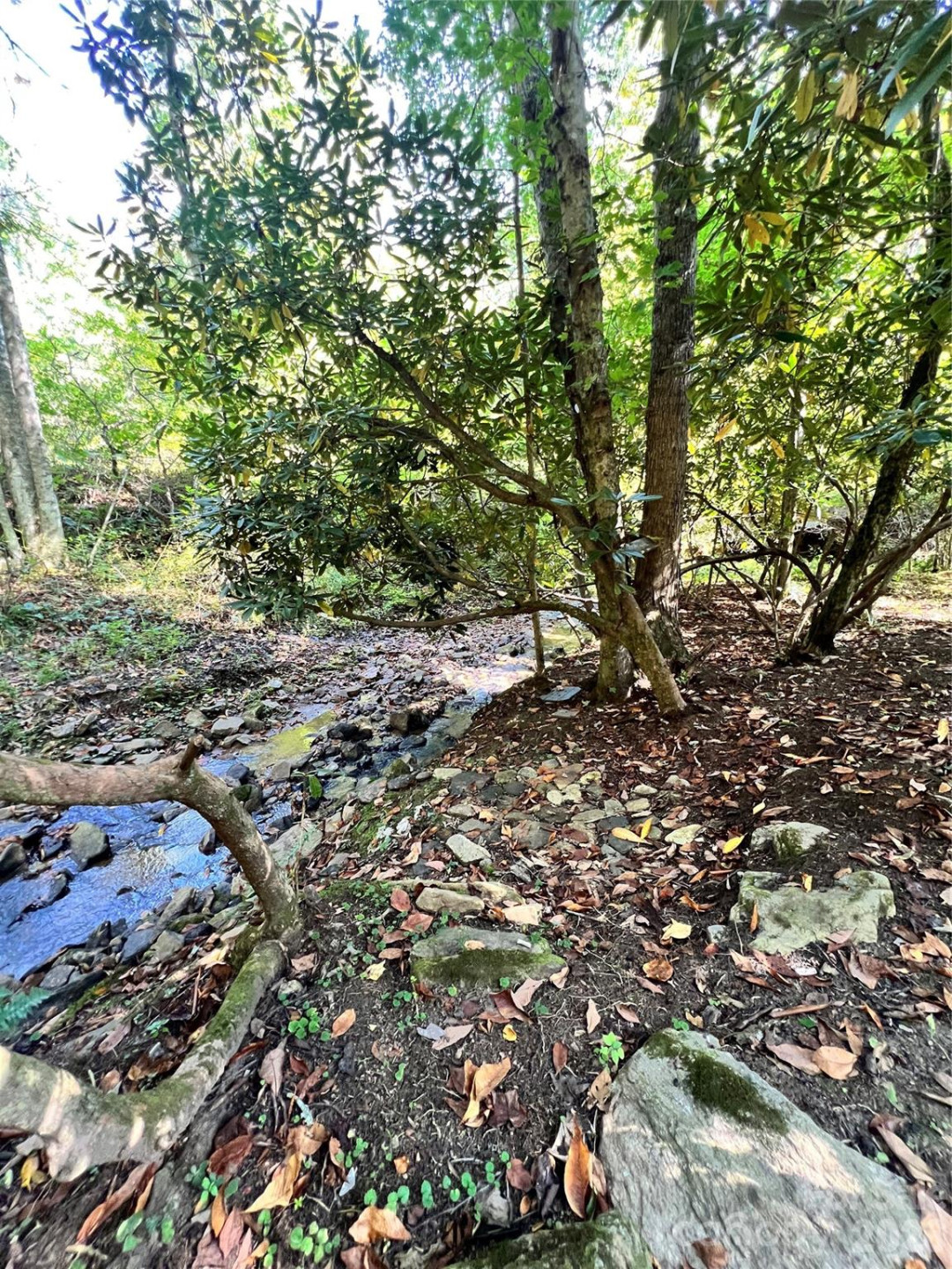 00 Battle Branch Road - Photo 7