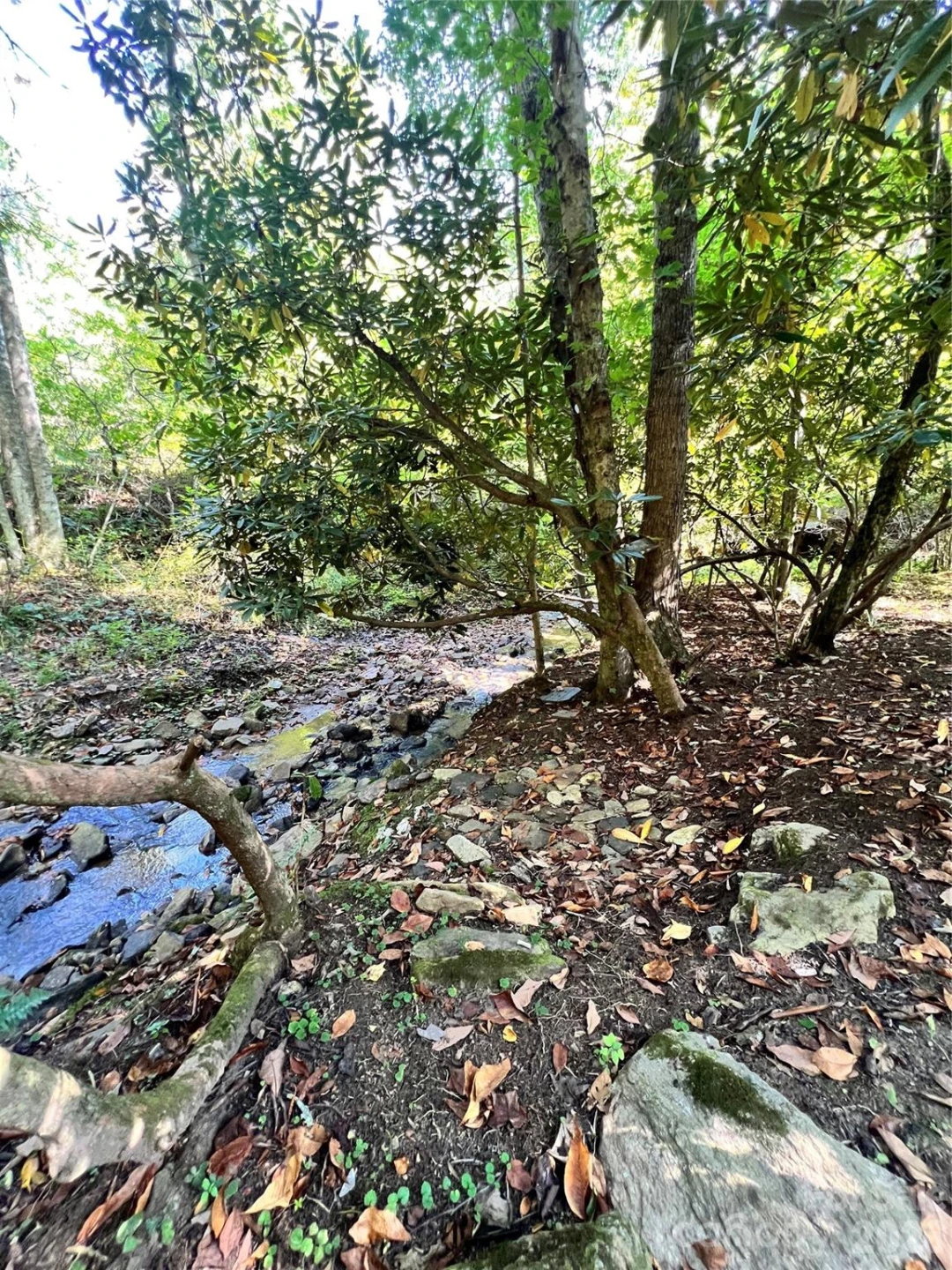 00 Battle Branch Road - Photo 7