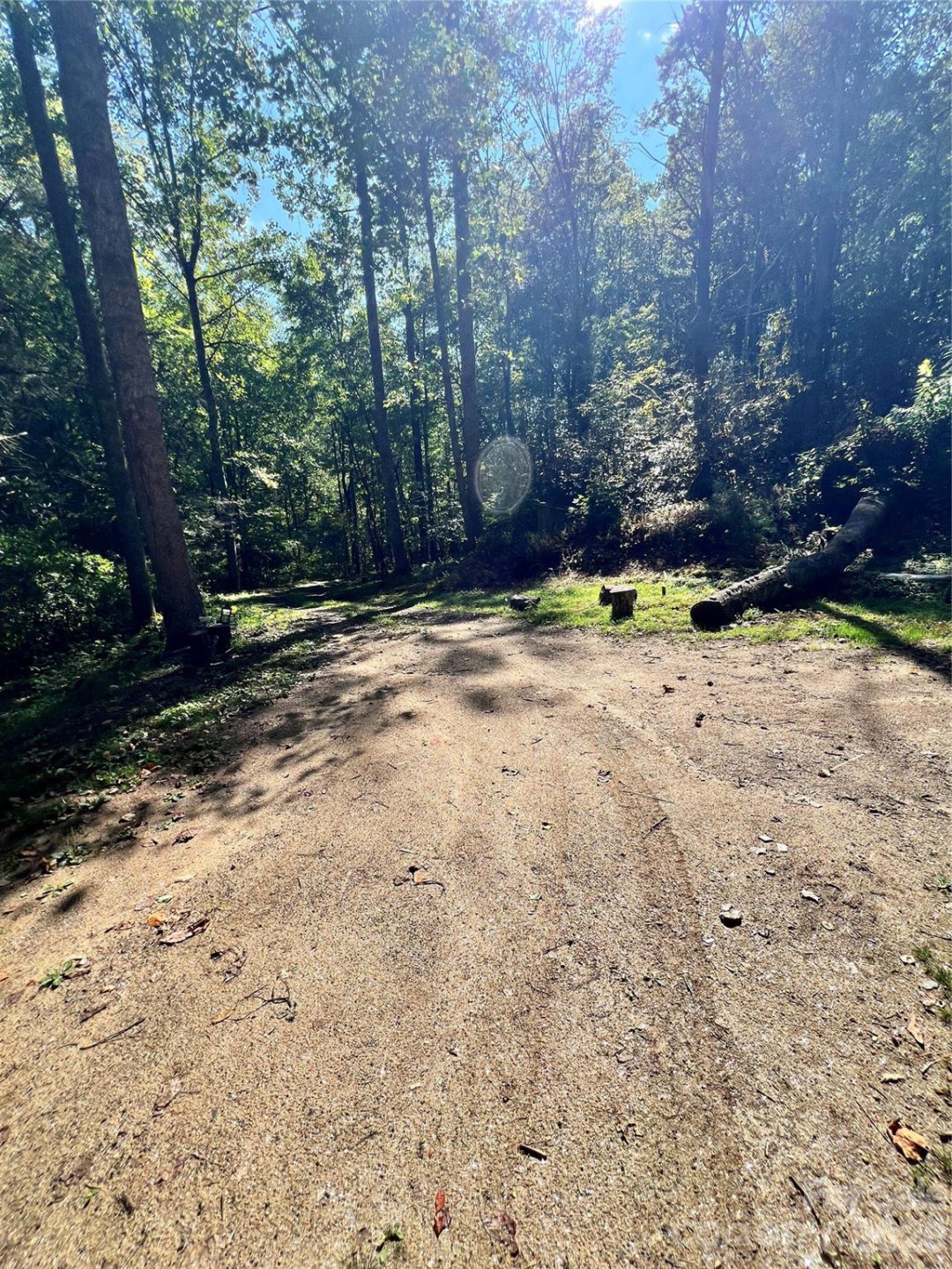 00 Battle Branch Road - Photo 8