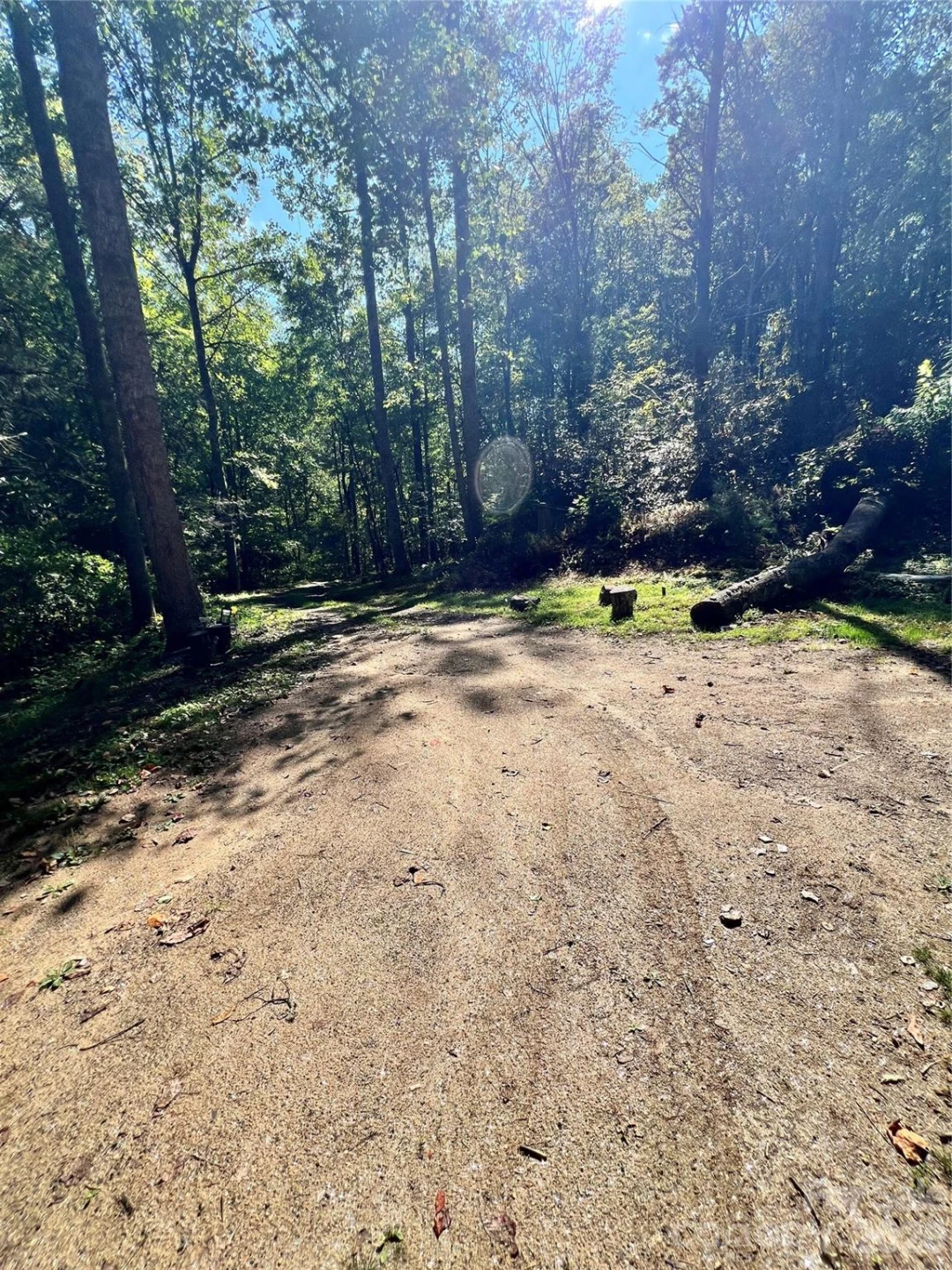 00 Battle Branch Road - Photo 8