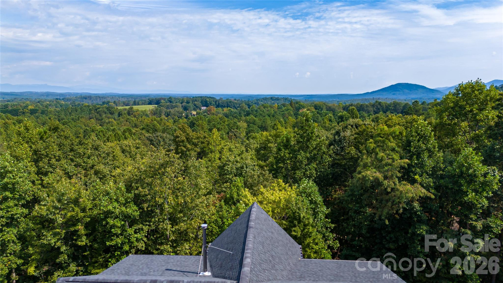 265 Grandview Peaks Drive - Photo 10