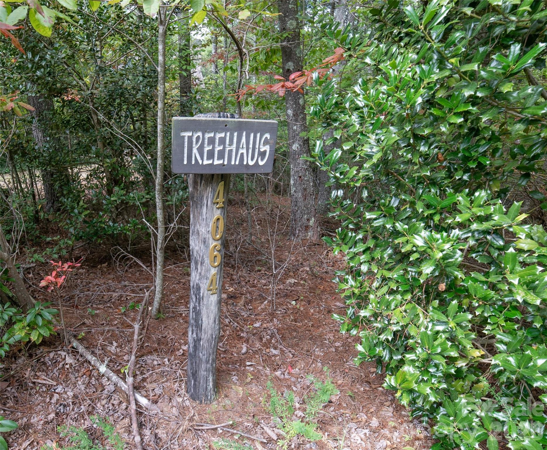 4064 Dense Acre Trail - Photo 6