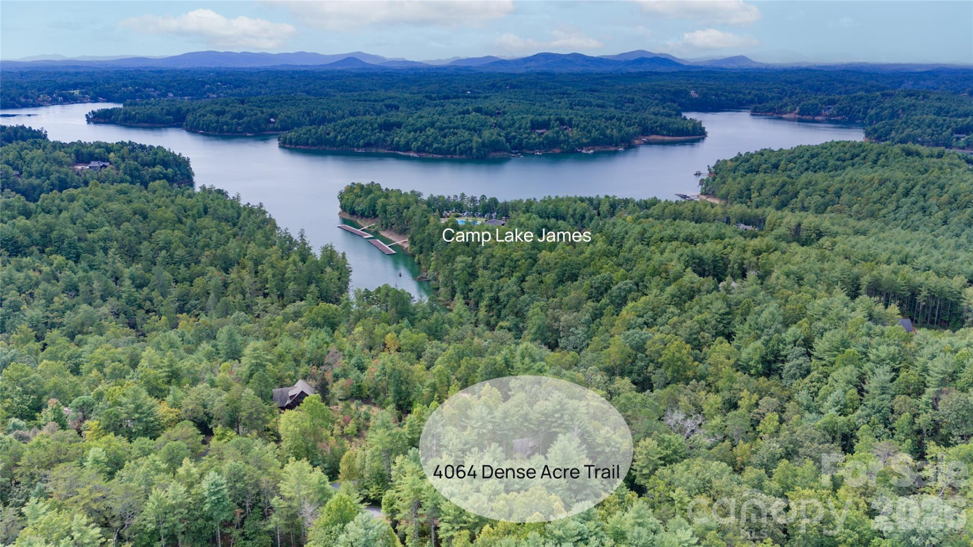 4064 Dense Acre Trail - Photo 47