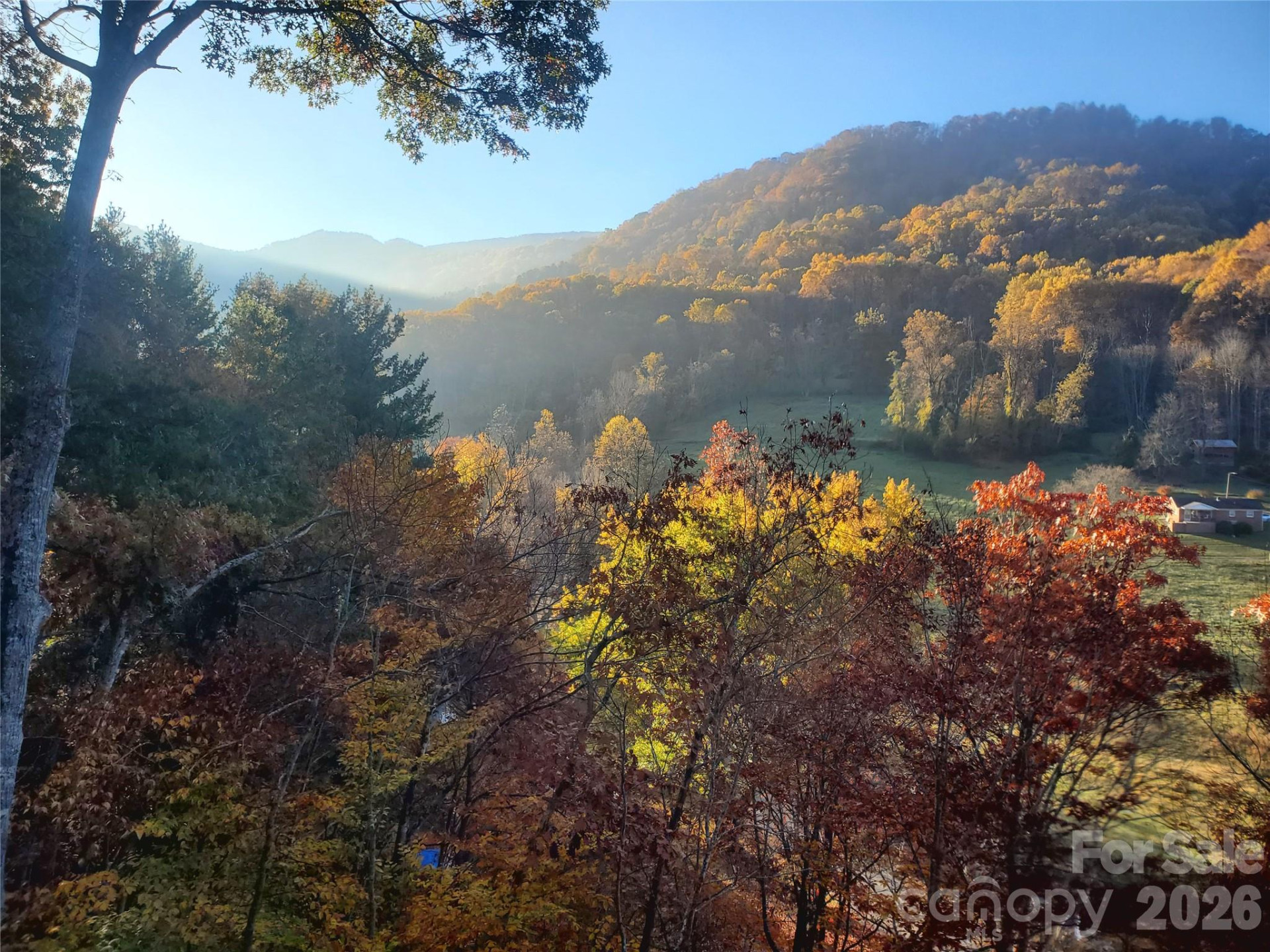 235 Timucua Trail - Photo 6