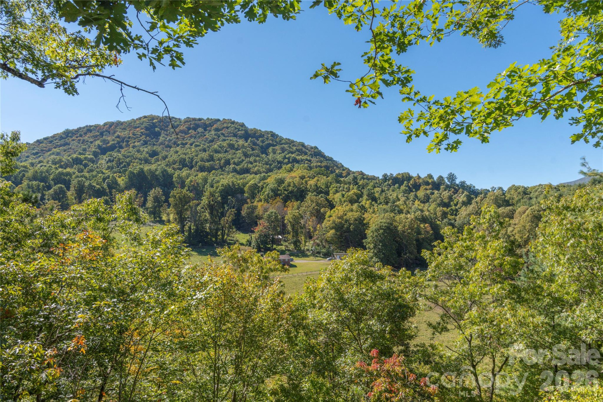 235 Timucua Trail - Photo 7