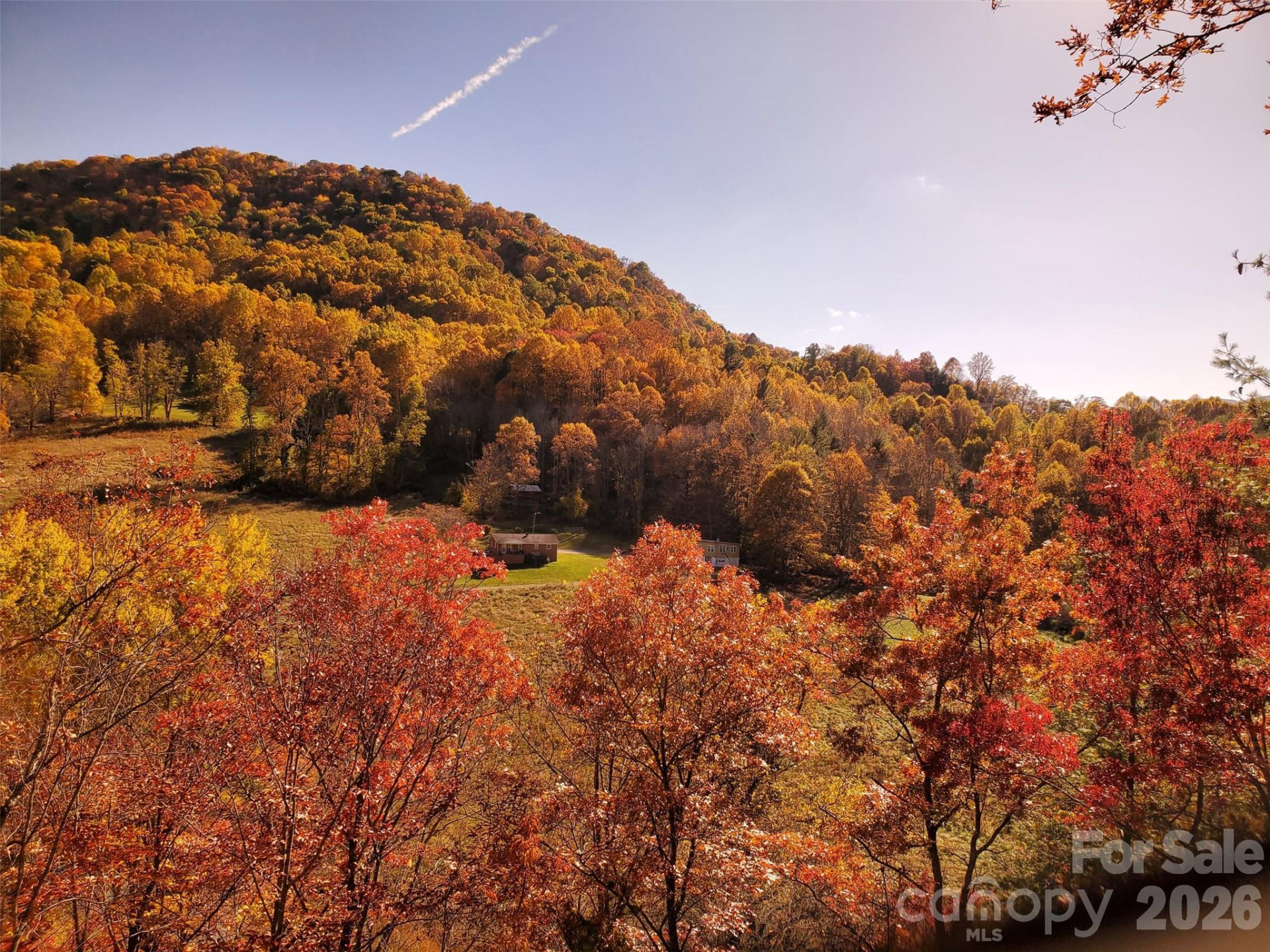 235 Timucua Trail - Photo 9