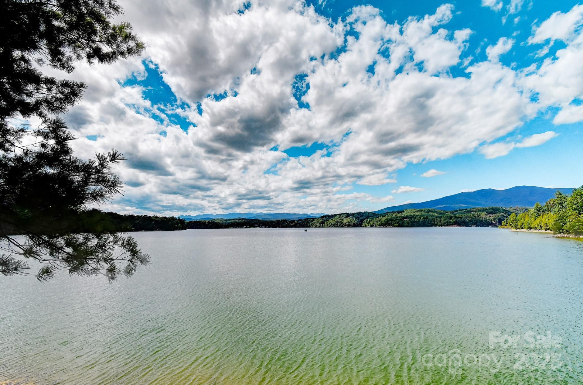 131 West Point Drive - Photo 18