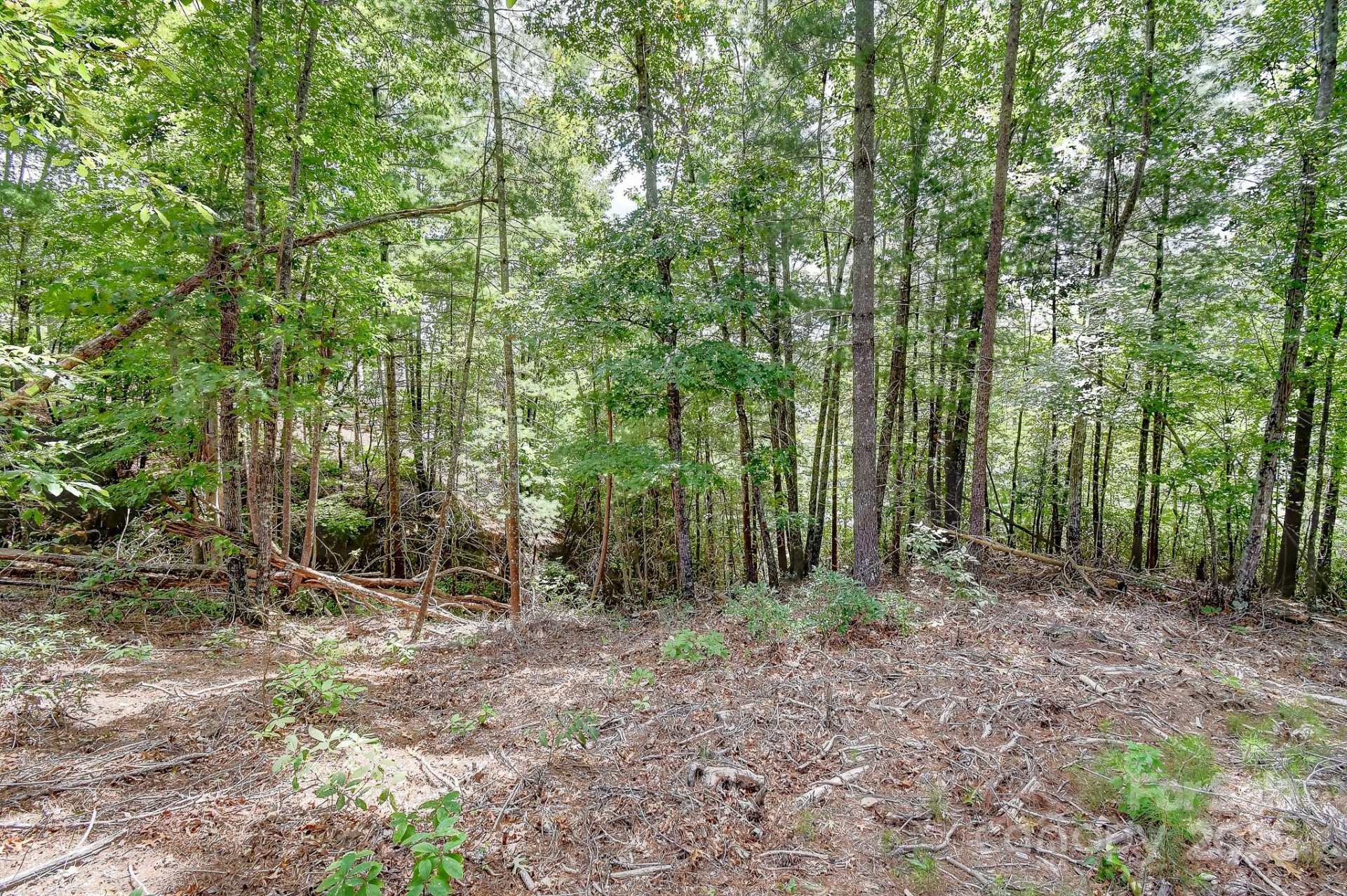 131 West Point Drive - Photo 26