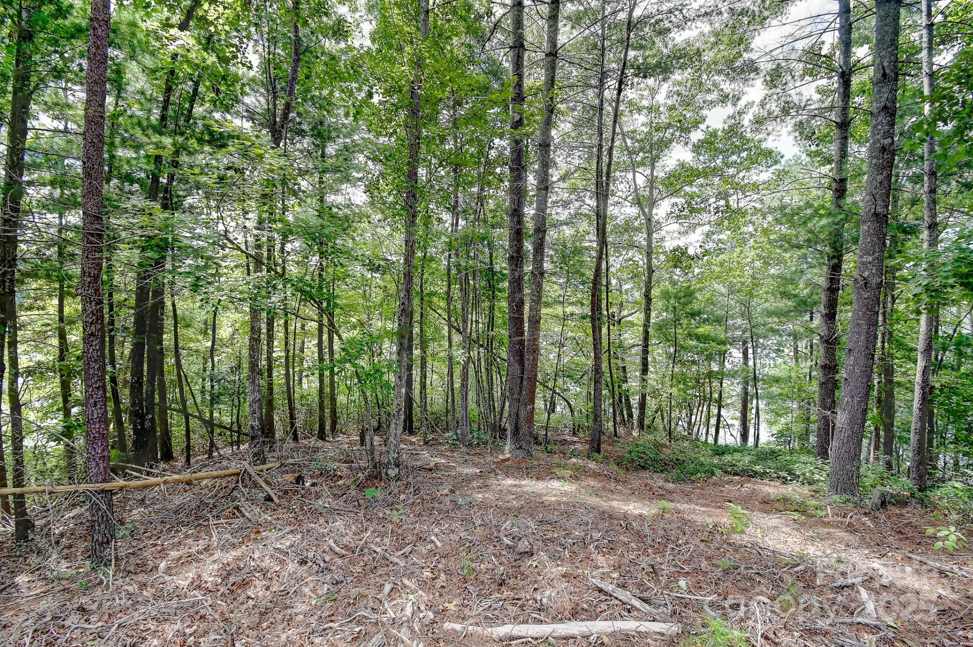 131 West Point Drive - Photo 27