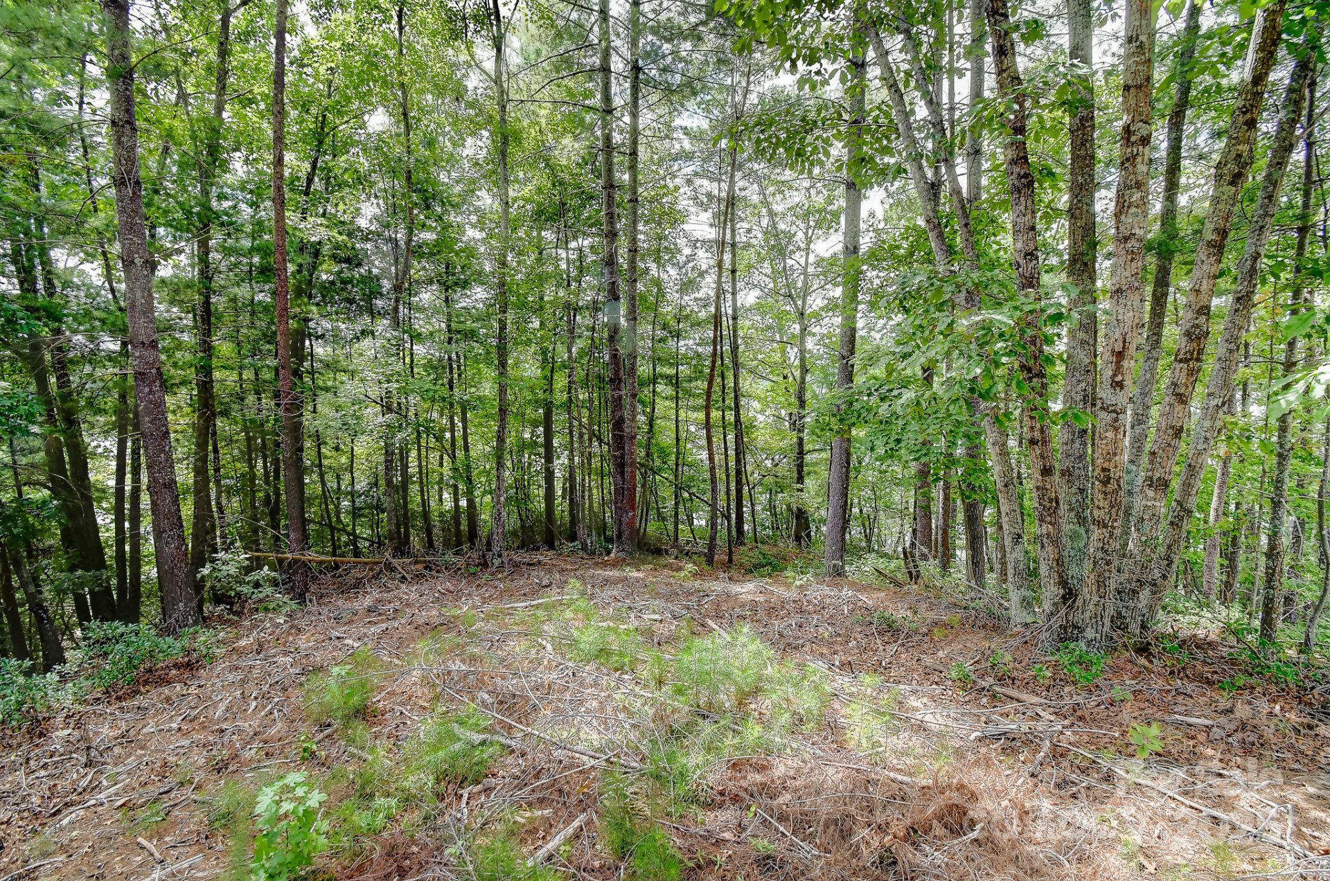 131 West Point Drive - Photo 28