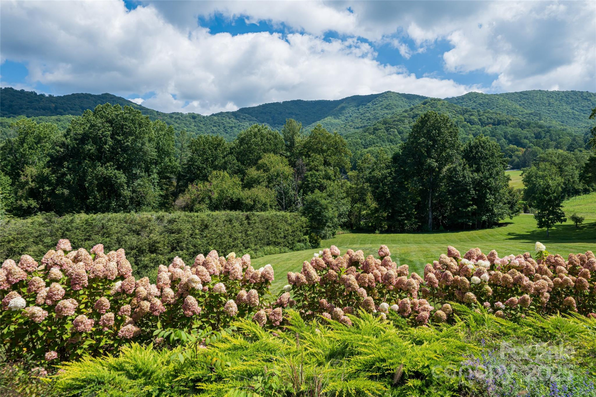 208 Parrish Farm Road - Photo 43