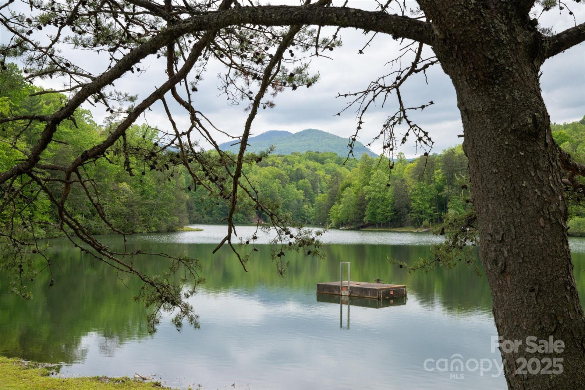 1015 Rainbow Circle #36 - Photo 17