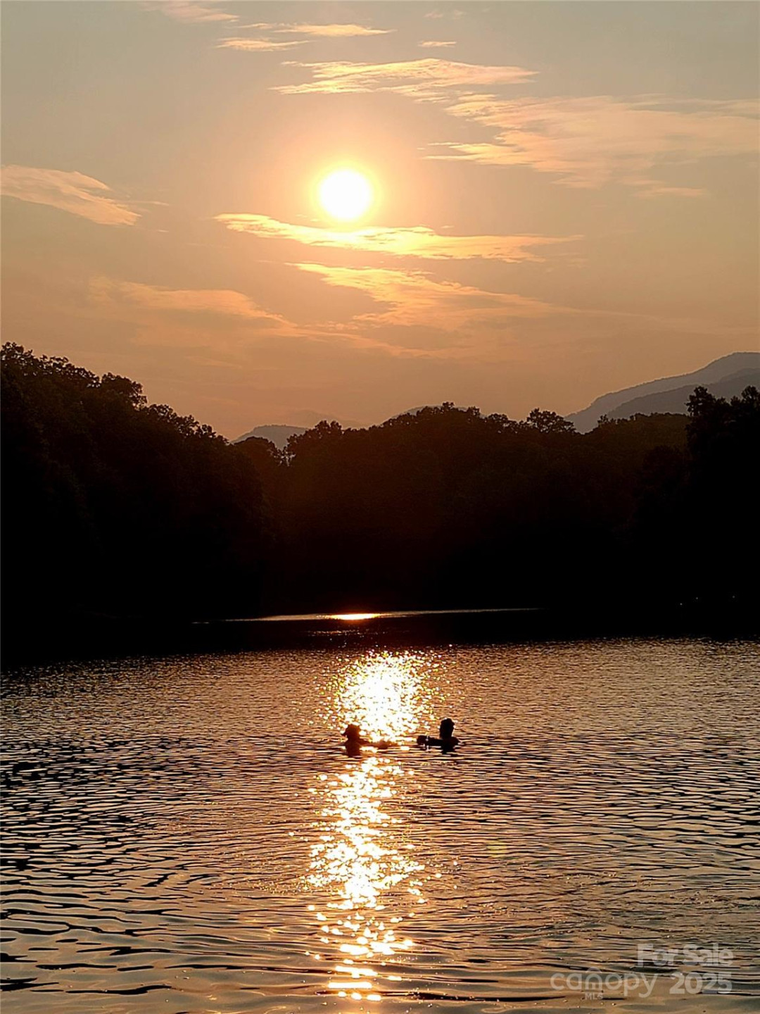 1015 Rainbow Circle #36 - Photo 3