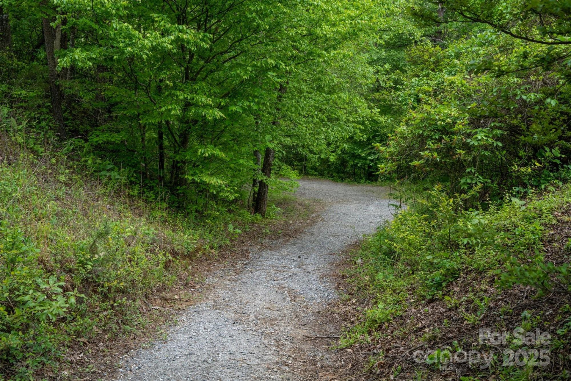 1015 Rainbow Circle #36 - Photo 21