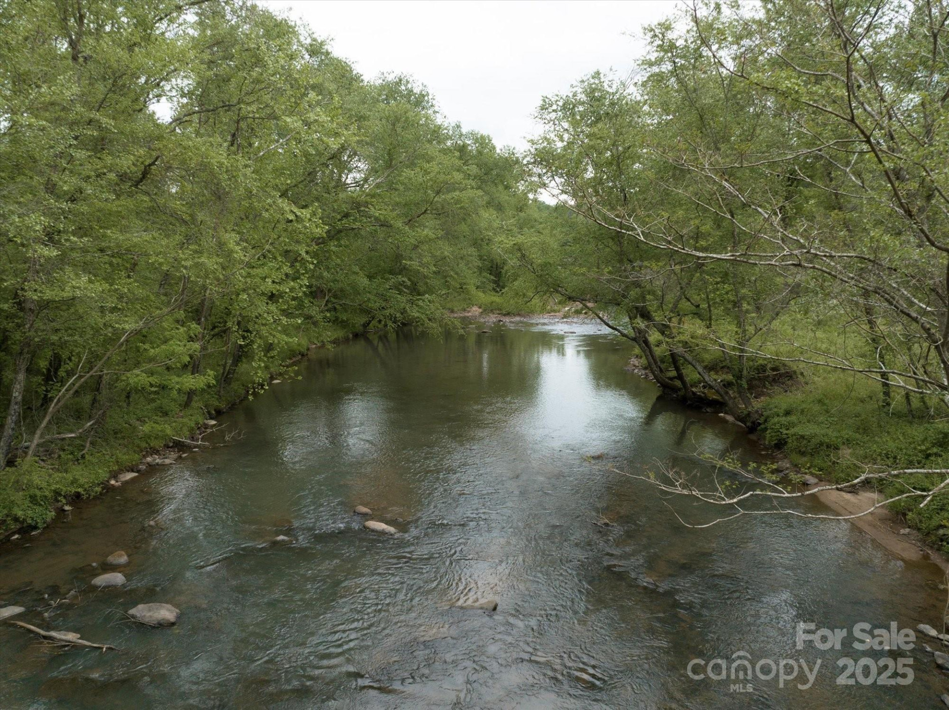 1015 Rainbow Circle #36 - Photo 4