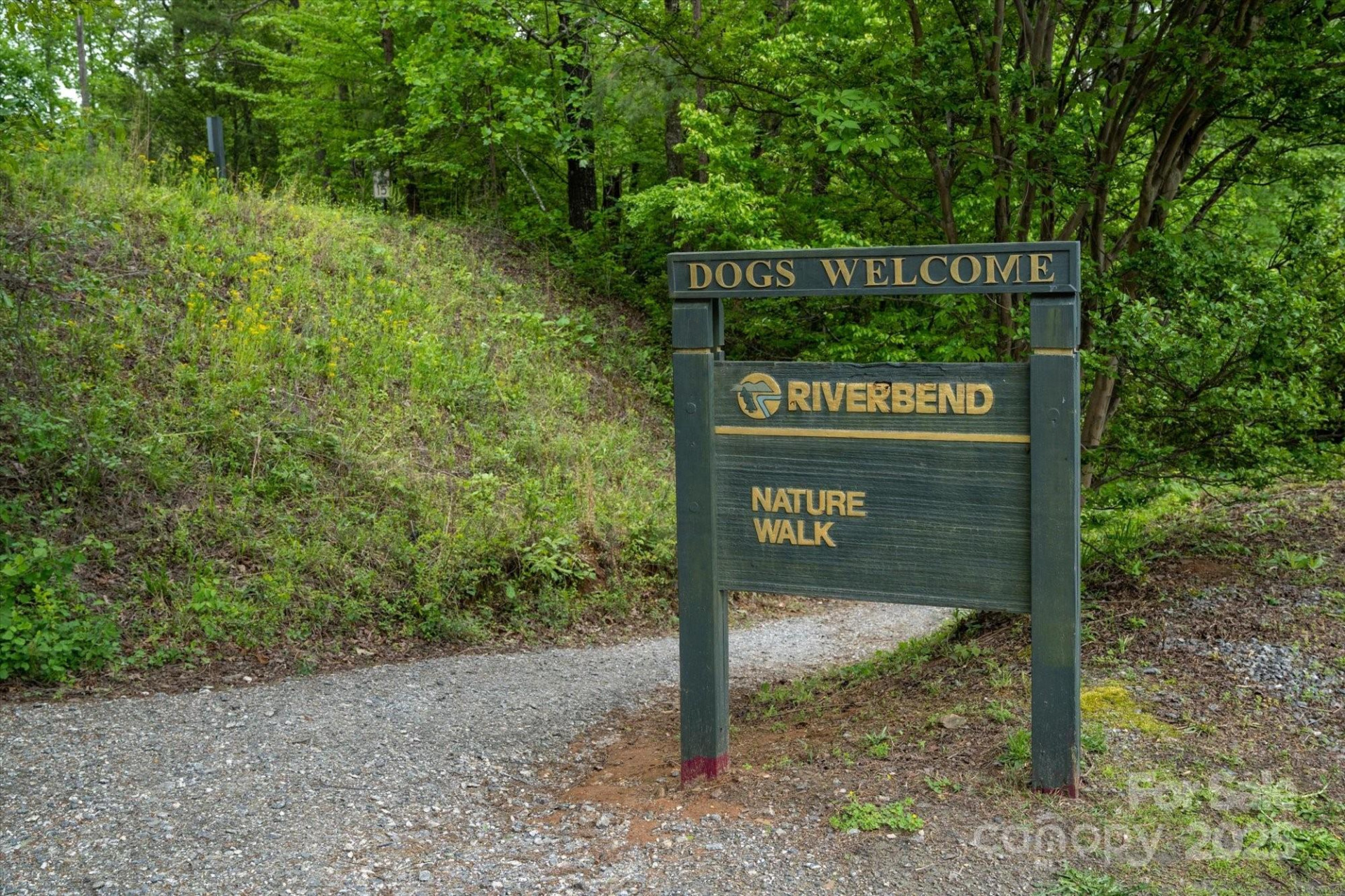 1015 Rainbow Circle #36 - Photo 31