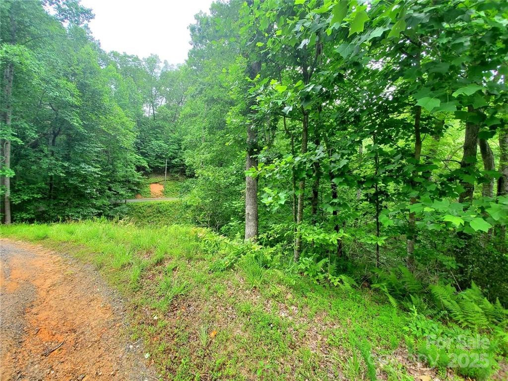 1015 Rainbow Circle #36 - Photo 33