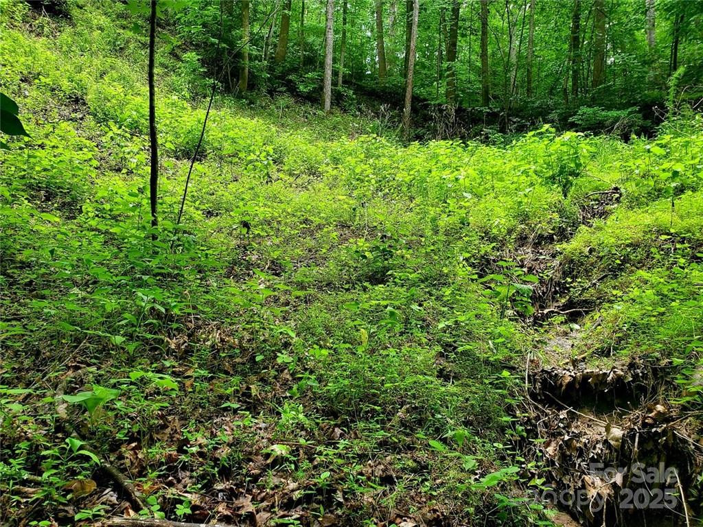 1015 Rainbow Circle #36 - Photo 34