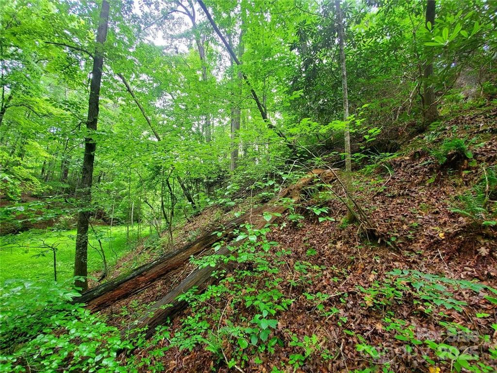 1015 Rainbow Circle #36 - Photo 35