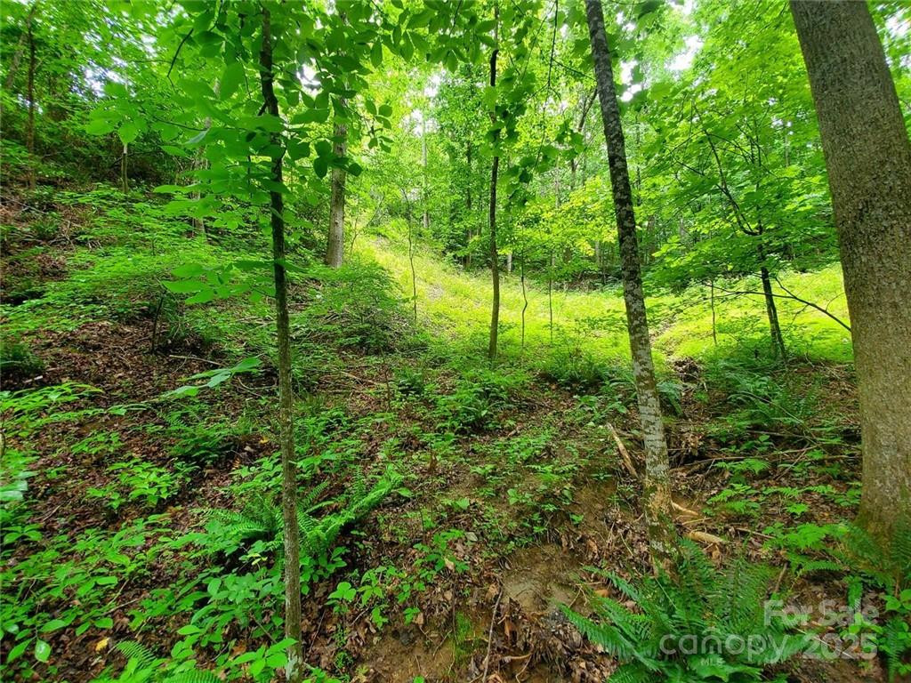 1015 Rainbow Circle #36 - Photo 36