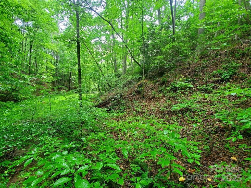 1015 Rainbow Circle #36 - Photo 37