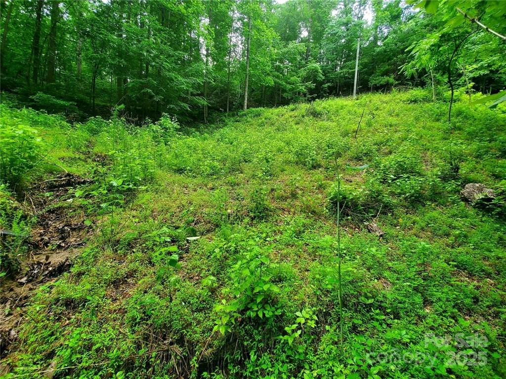 1015 Rainbow Circle #36 - Photo 38