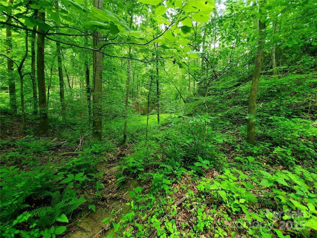 1015 Rainbow Circle #36 - Photo 39