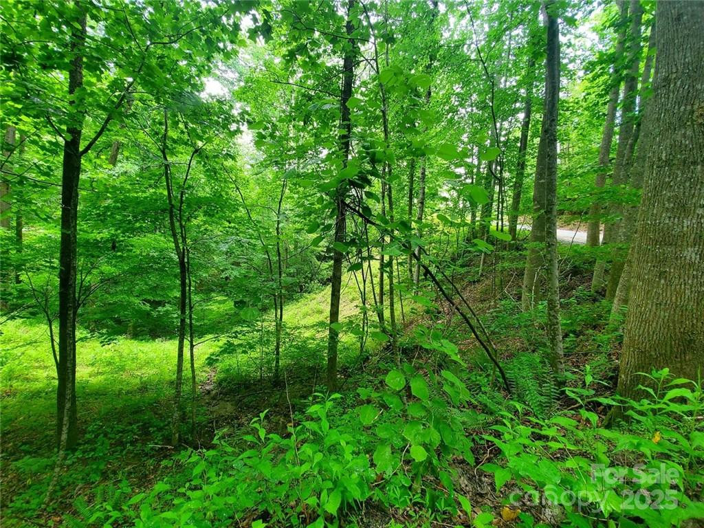 1015 Rainbow Circle #36 - Photo 40