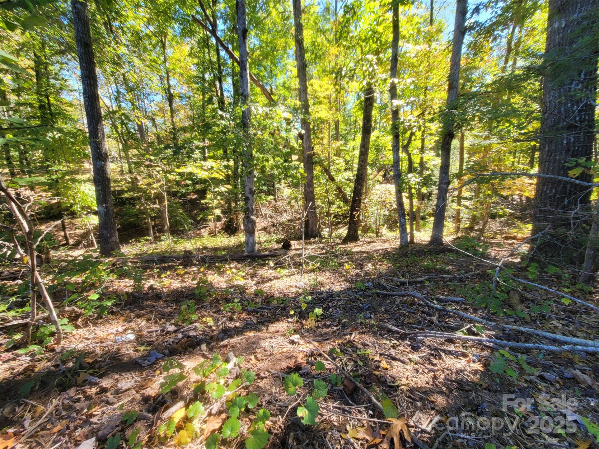 0 Horse Creek Drive #14 - Photo 3