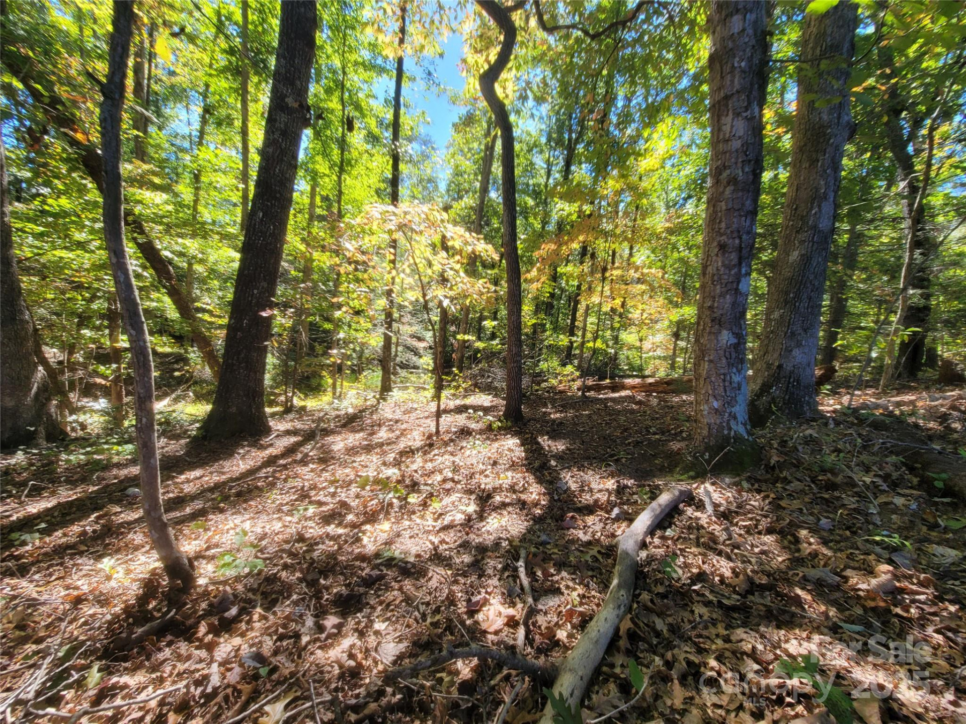 0 Horse Creek Drive #14 - Photo 7