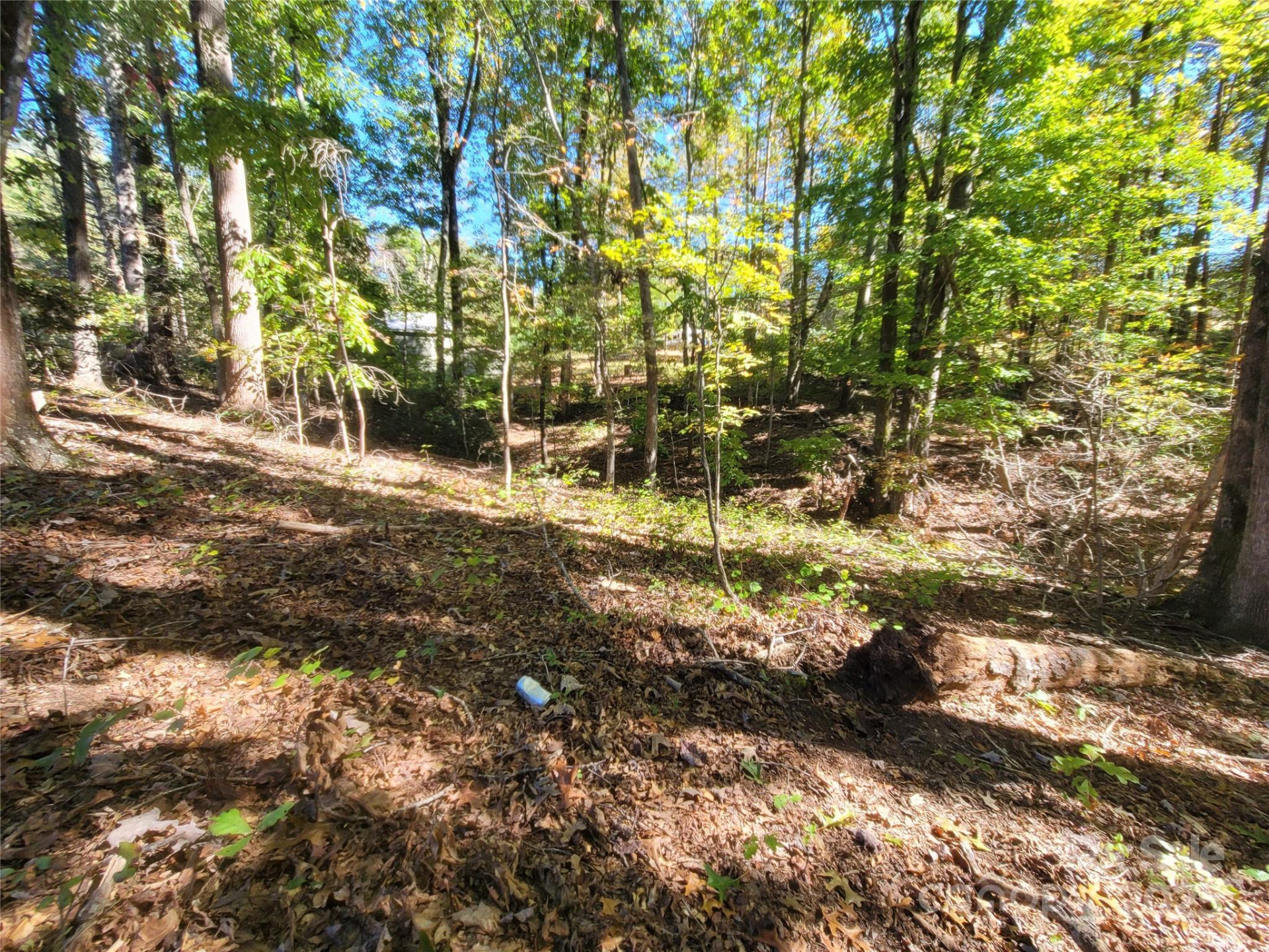 0 Horse Creek Drive #14 - Photo 8