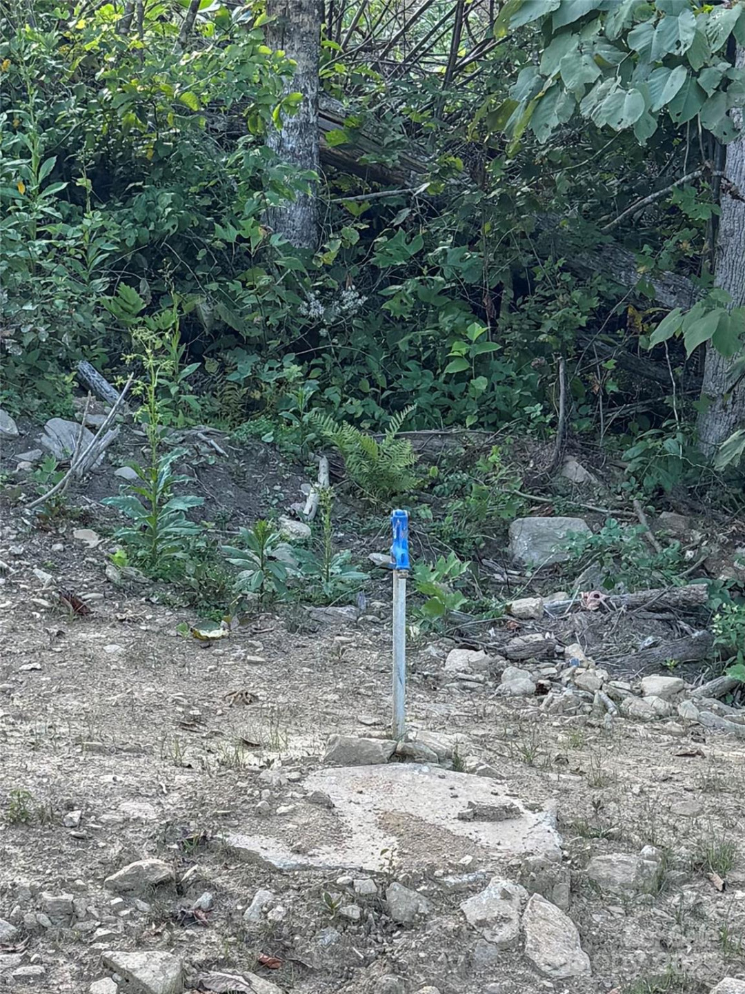 0000 Cattail Creek Road - Photo 18