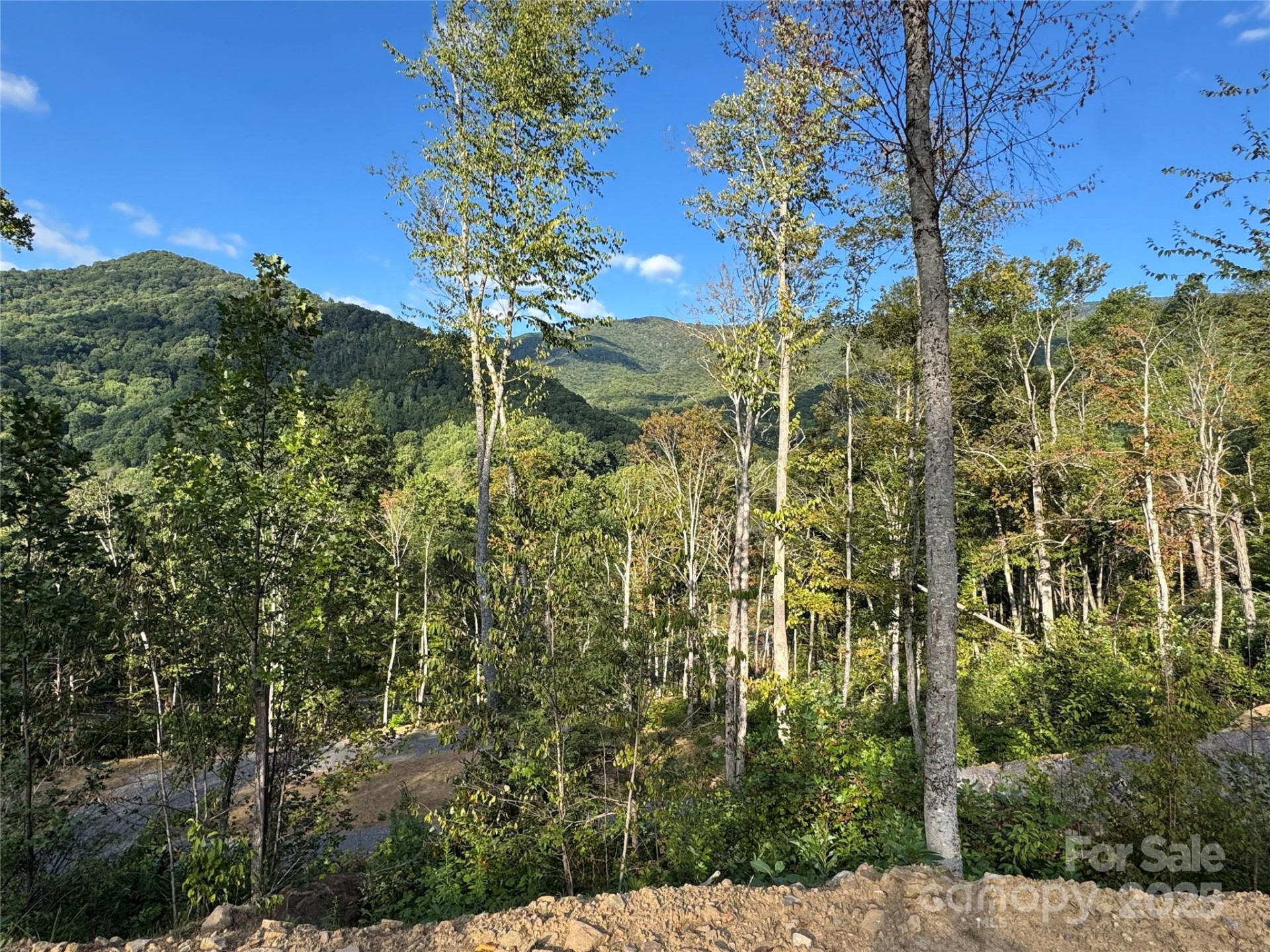 0000 Cattail Creek Road - Photo 22