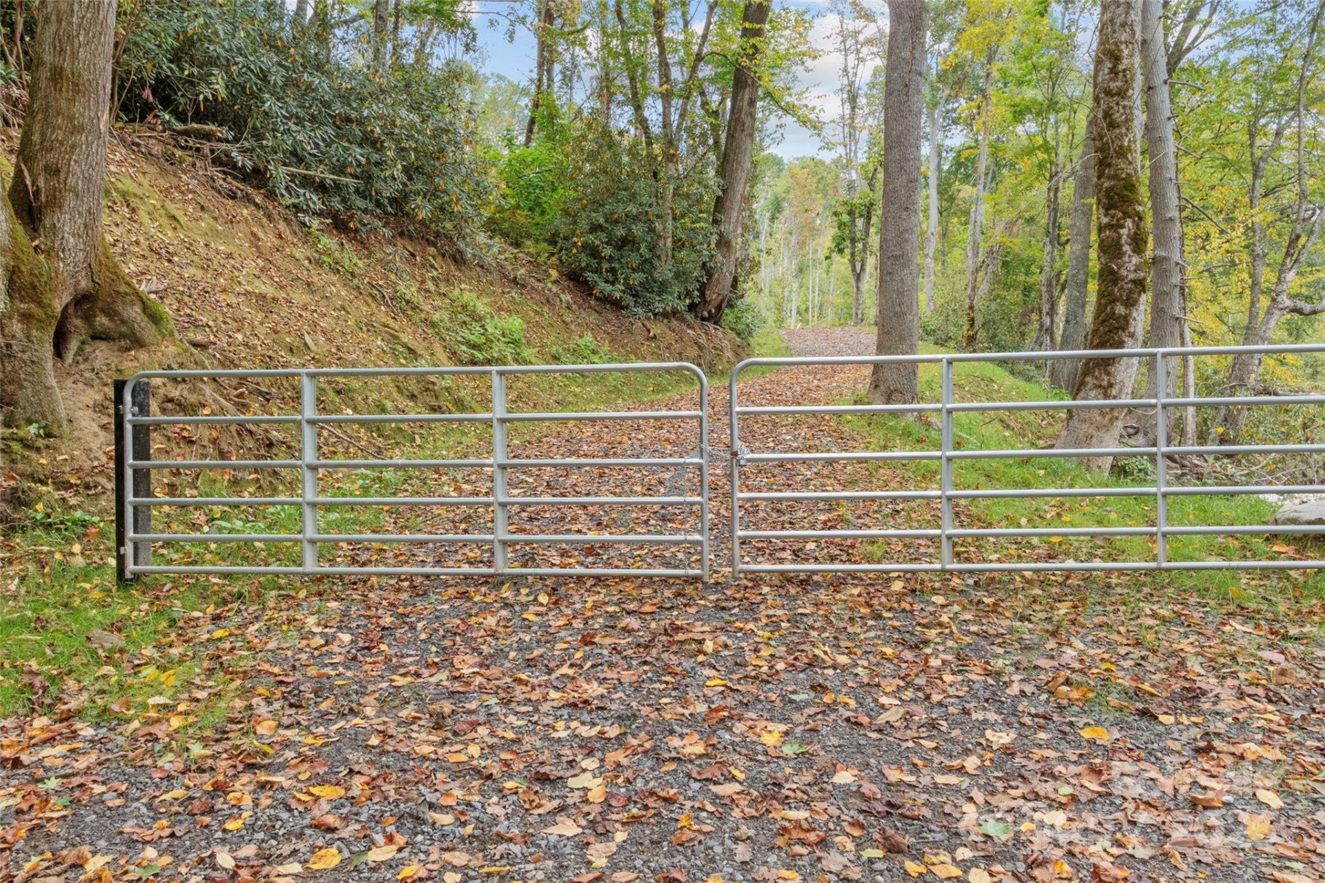 0000 Cattail Creek Road - Photo 7