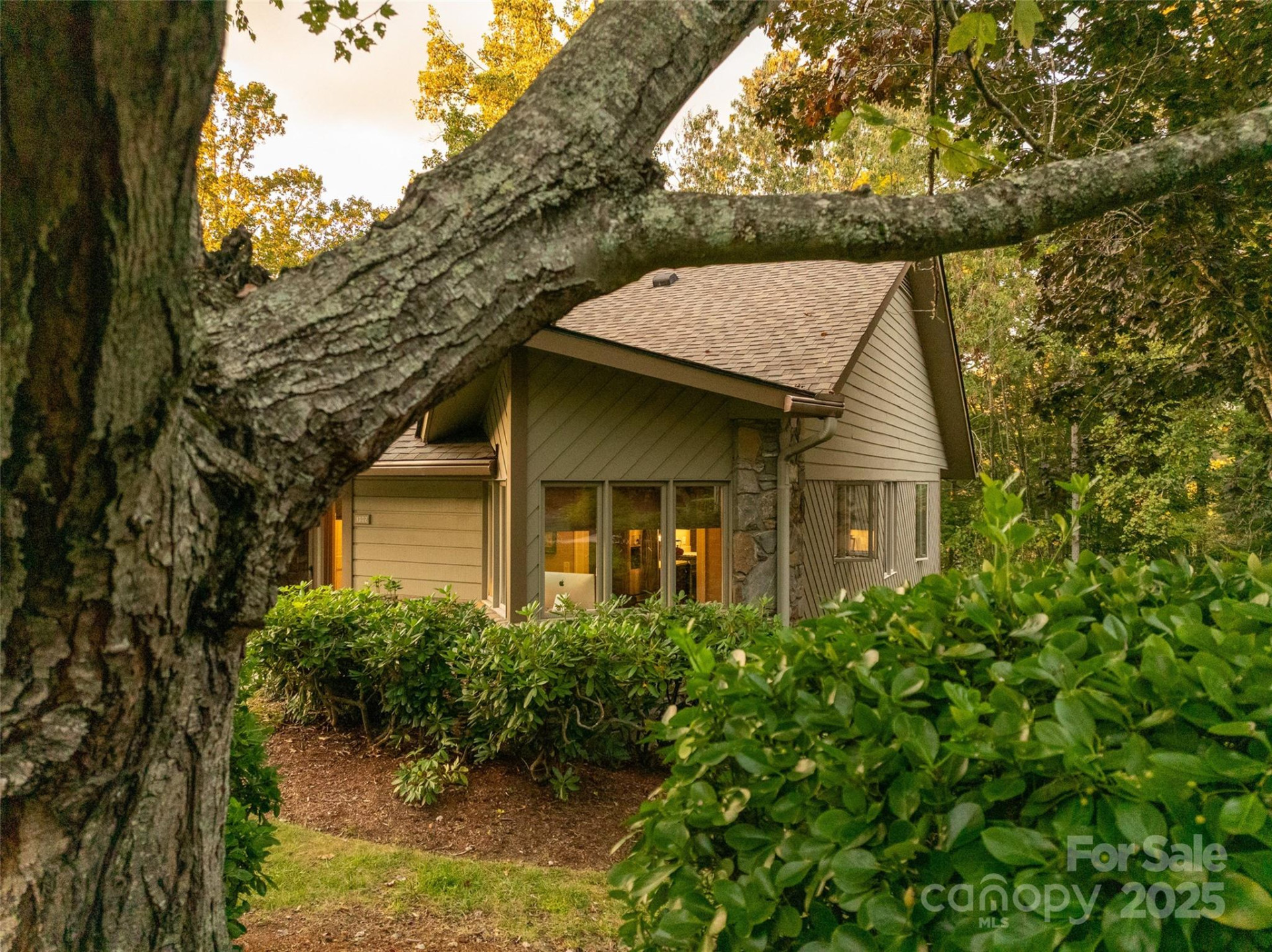 1302 Timber Trail - Photo 36