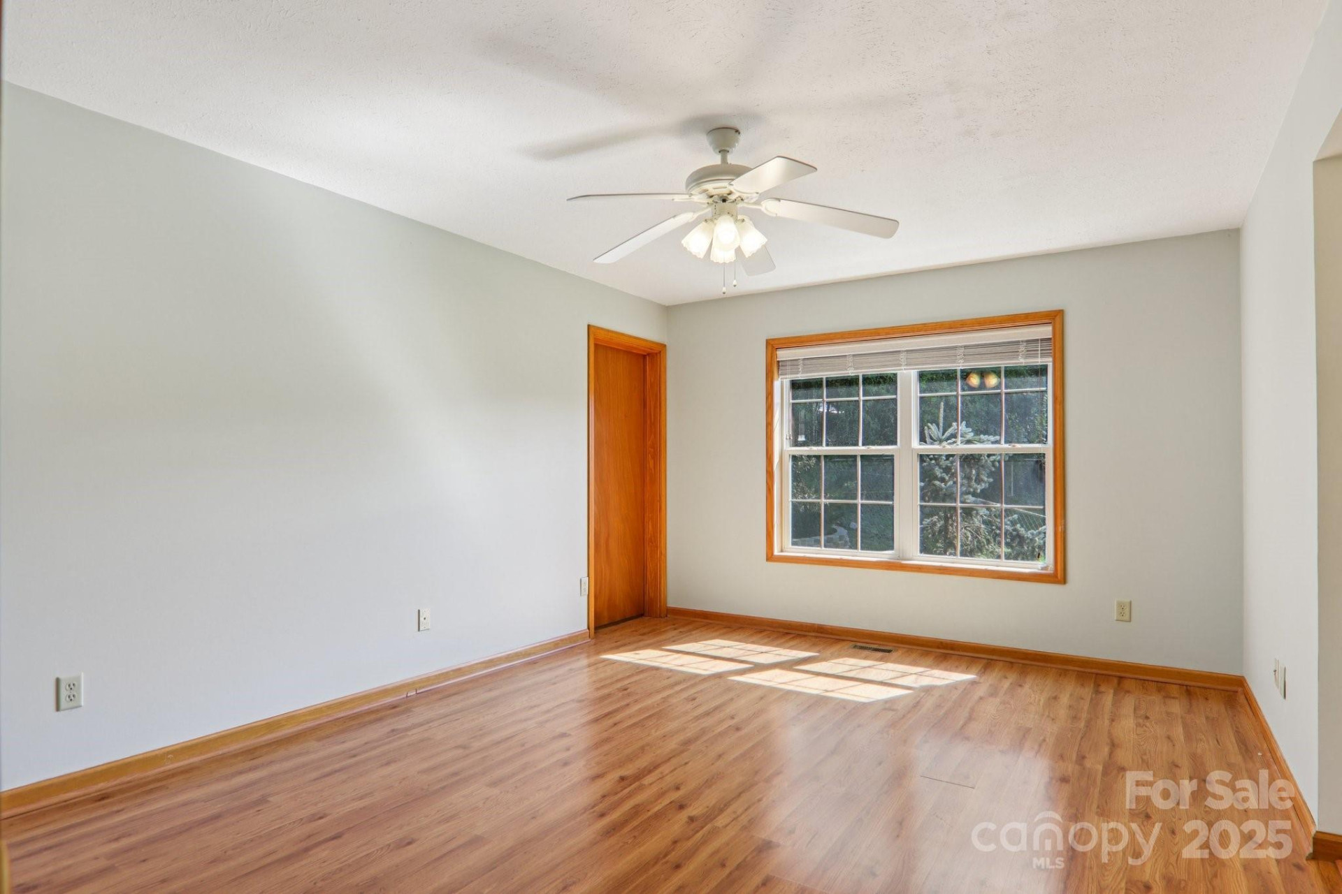 126 Pasco Loop - Photo 19