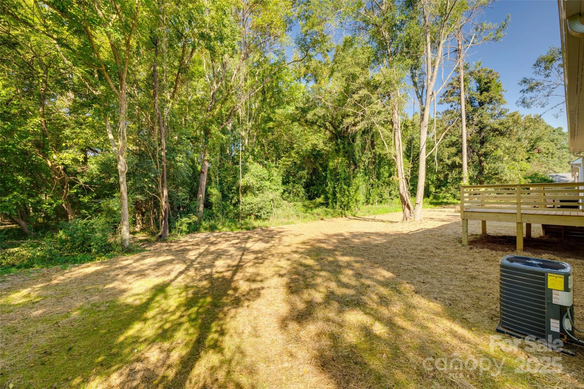 155 Williams Street - Photo 32