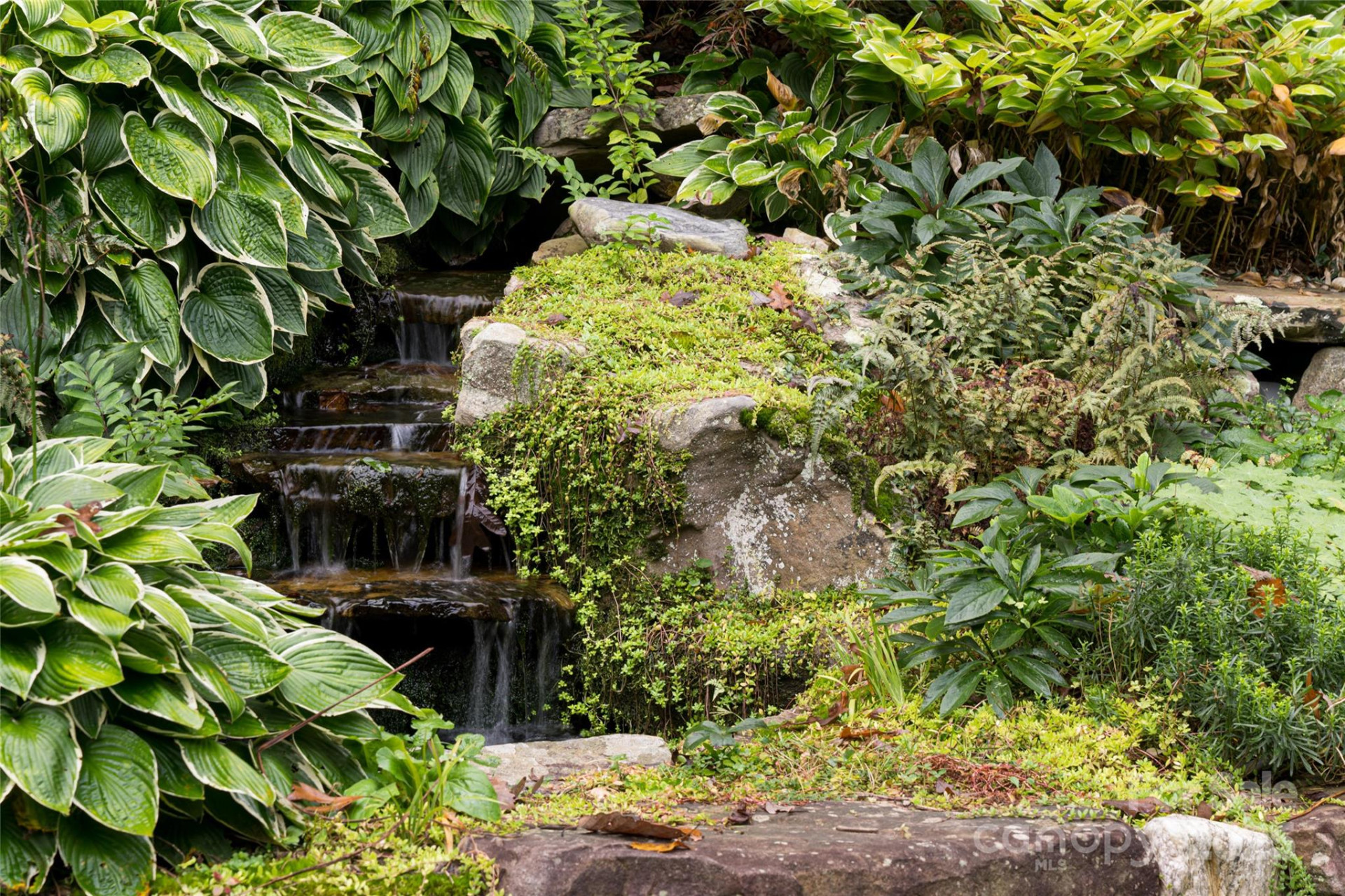 53 Cedar Hill Drive - Photo 32