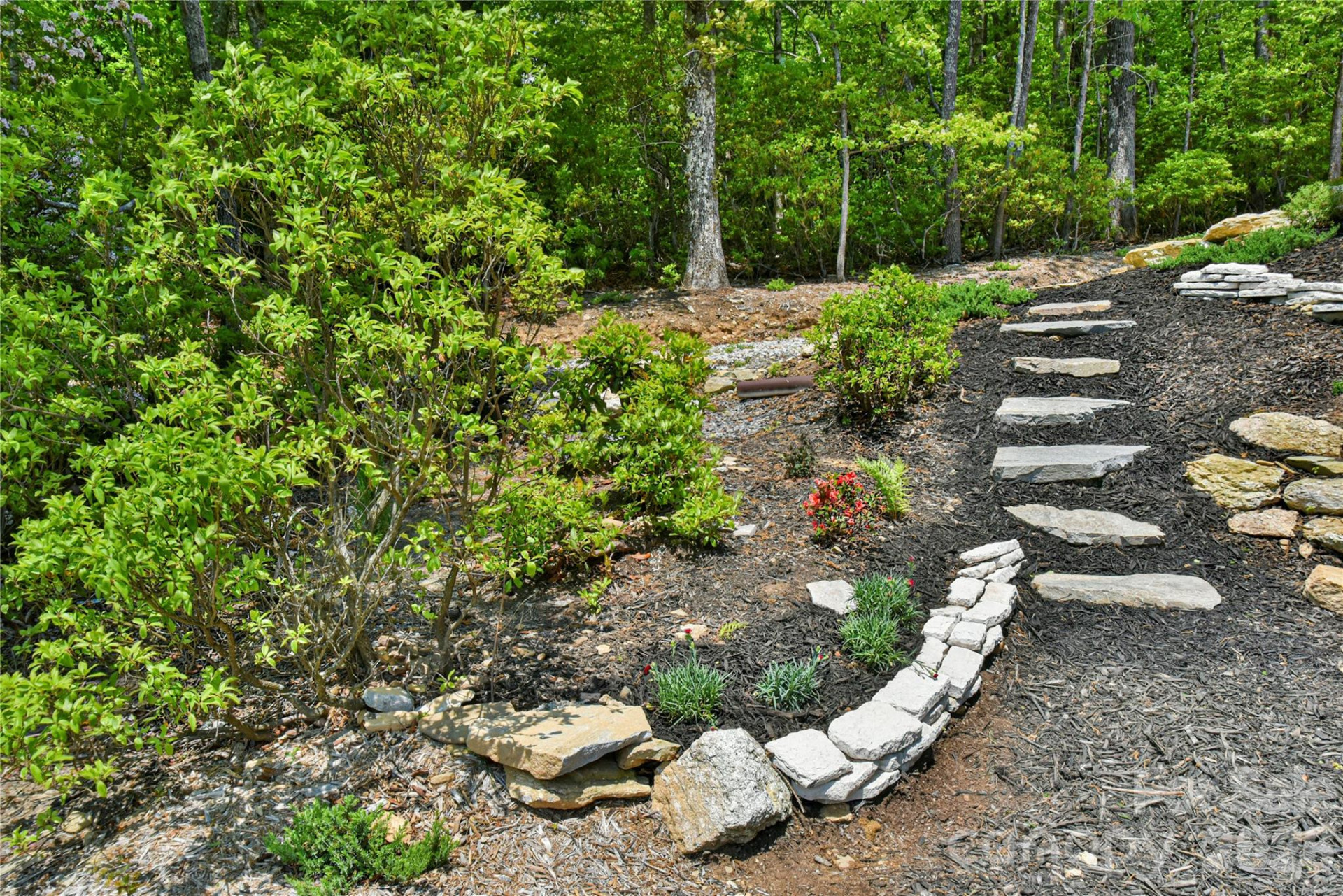 41 High Cliffs Trail - Photo 35