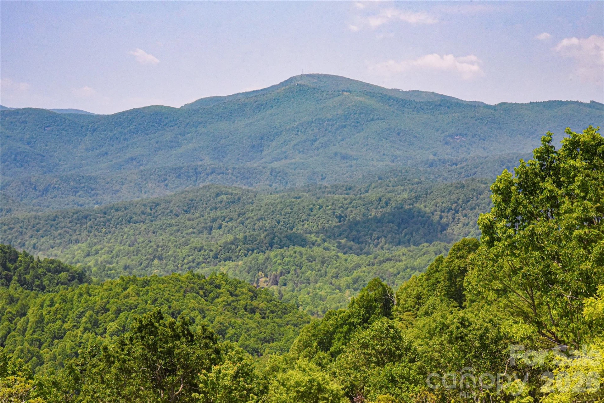 41 High Cliffs Trail - Photo 5