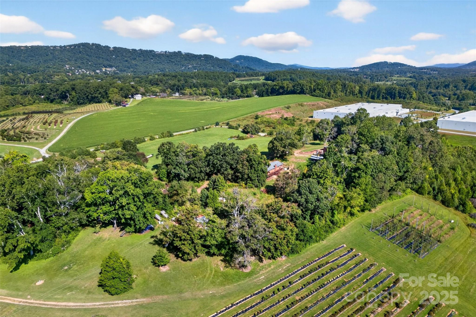 467 Butler Farm Road - Photo 6