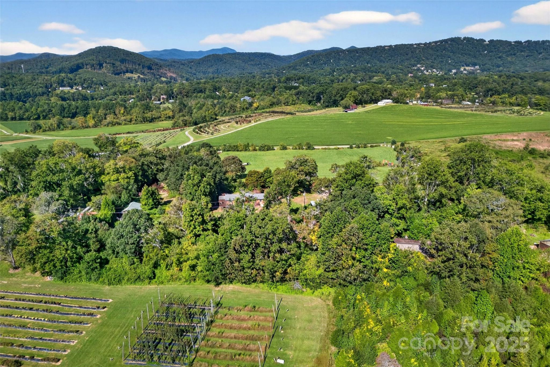 467 Butler Farm Road - Photo 7