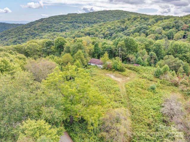 7130 Max Patch Road, Hot Springs, NC, 28743