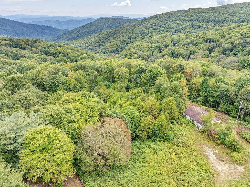 7130 Max Patch Road - Photo 2