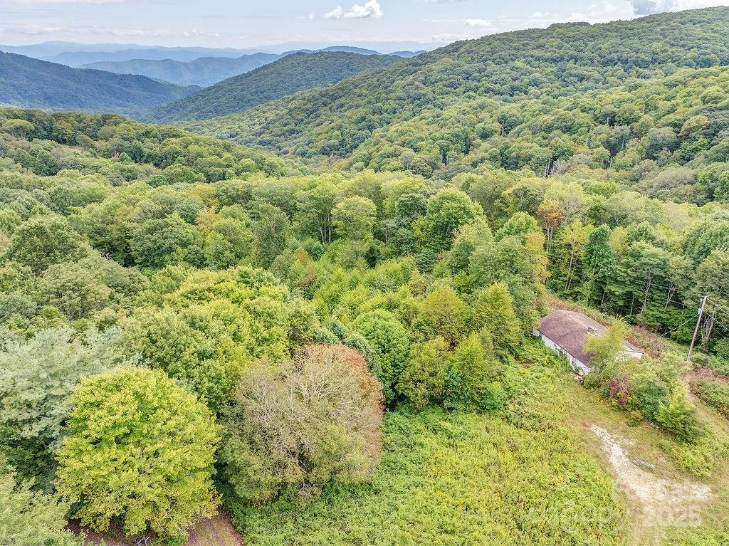 7130 Max Patch Road - Photo 2
