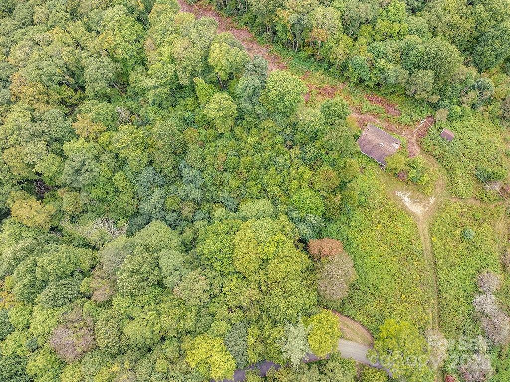 7130 Max Patch Road - Photo 3