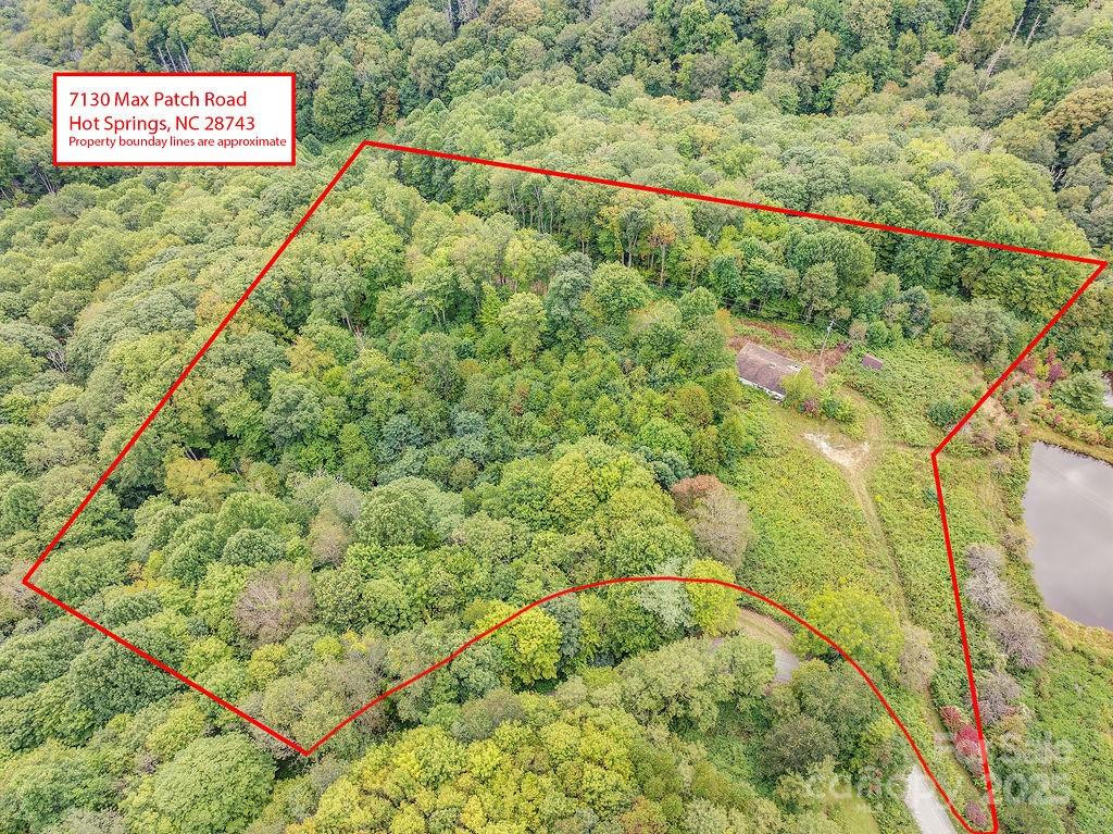 7130 Max Patch Road - Photo 4