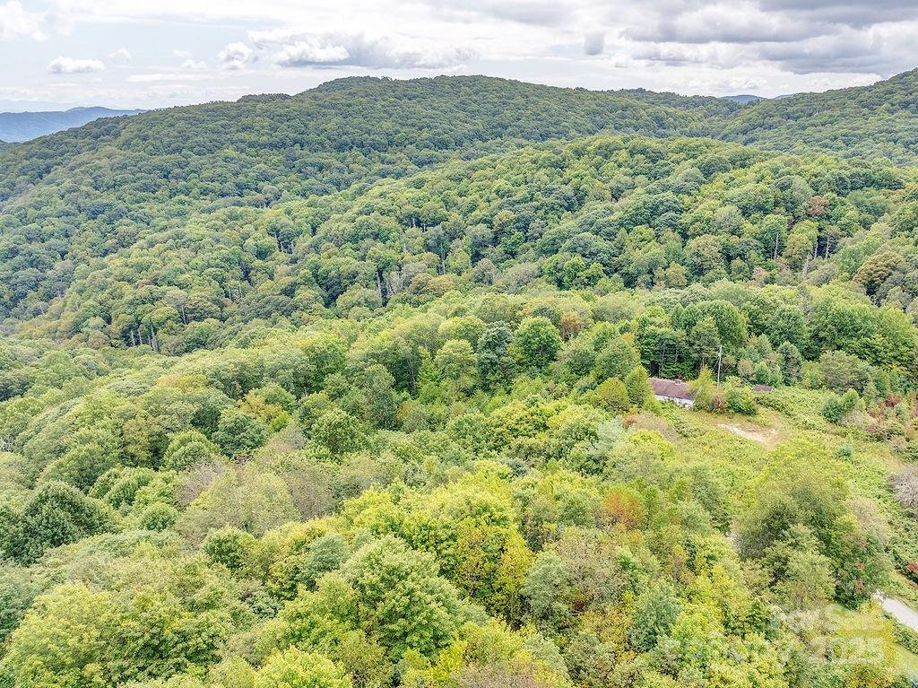 7130 Max Patch Road - Photo 5