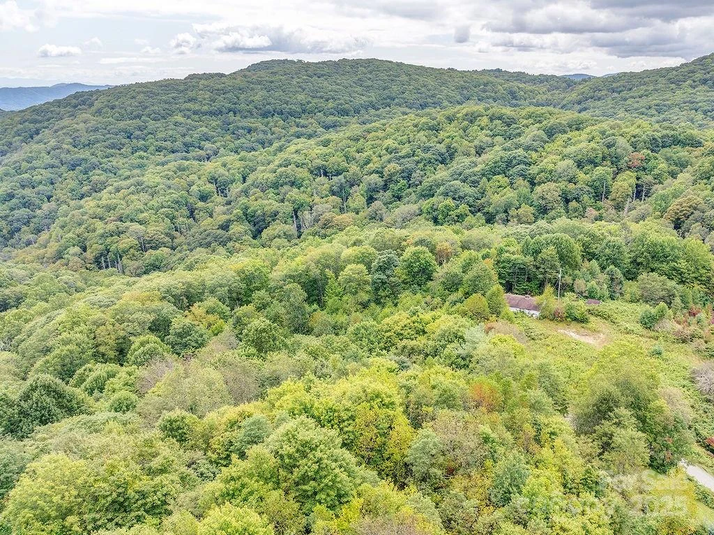 7130 Max Patch Road - Photo 5